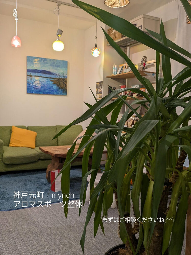 ブログ画像